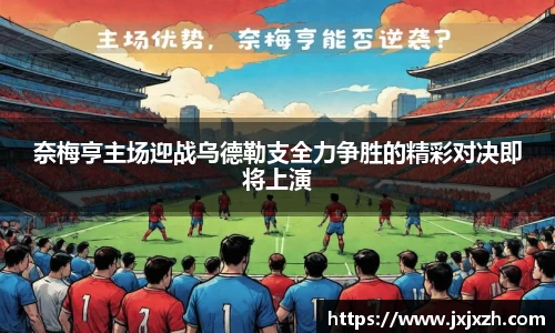 NG体育官网